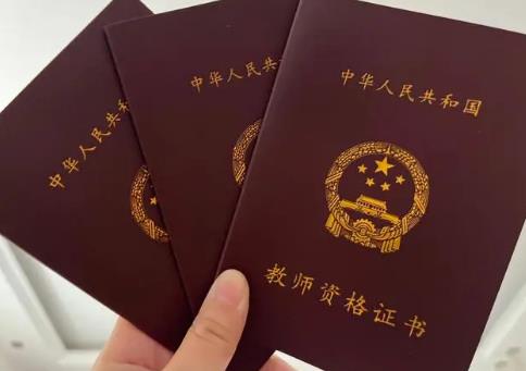 教师资格条例实施办法全文