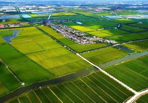 中华人民共和国土地管理法释义最新